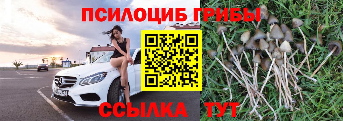 Псилоцибиновые грибы мицелий Братск
